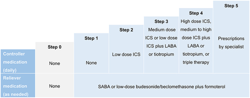 Figure 1 Treatment steps as defined in this study.