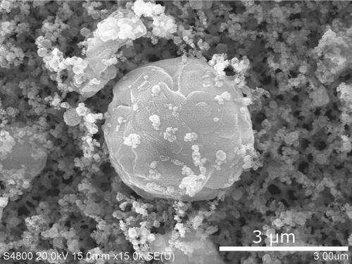 Figure 15. SEM image of nanoparticles and microsphere in NMC explosion aerosols.