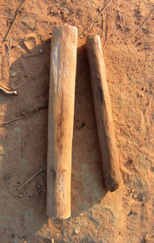 Figure 3. Bilma used in Yolŋu manikay, carved from the ironbark tree. Photo Samuel Curkpatrick (2019)