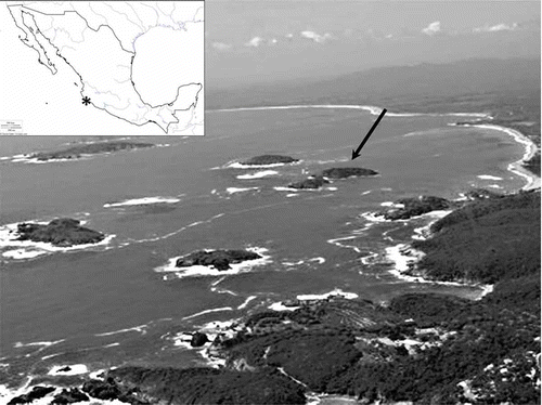 Figure 1. Aerial view of Chamela Bay islands nature sanctuary with Don Panchito islet indicated by the arrow.