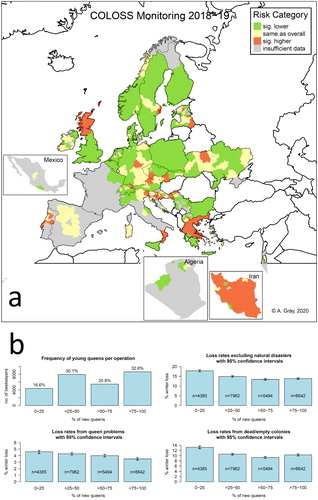 Figure 1. (a) Map with traffic-light colour coding showing relative risk of overwinter colony loss at regional level for participating countries.Notes: Regions with a relative risk of loss (loss rate divided by the loss rate over all regions) that is significantly higher/lower than 1 are shown in red/green, respectively. Regions with a relative risk not significantly different from 1 are shown in yellow. Where no data were available or data were available from fewer than 6 beekeepers in a region within a participating country, this was treated as insufficient for reliable calculation and the region is shown in grey. Countries not present in the study are indicated in white (blank areas in the map). Information on region was not available for Poland, nor Malta (a small country), which were coloured at country level, as was Bulgaria (as numerous regions were represented but none with more than 5 beekeepers). Island groups/regions are also coloured as one region provided at least 6 responses were available.(b) Barplots of results for percentage of young queens: distribution of beekeepers across each category of response (top-left), loss rates and 95% confidence intervals for each category of response for total losses excluding natural disasters (top-right), losses from queen problems (bottom-left) and losses from dead/empty colonies (mortality rate; bottom-right). Non-overlapping confidence intervals indicate categories that have significantly different loss rates.