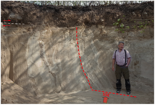 Figure 17. Glaciolacustrine sediment sequence forming the core of the Grimslöv–Ströby drumlin (Fig. 16). The sediments are glaciotectonically folded from the NNW (drumlin axis N–S); shown section is the right limb of an isoclinal fold (up of the sediment sequence is to the right) with primary bed contacts standing close to vertically. The fold is cut off by glacial erosion; the sediments beneath the horizontal shear surface (hatched white line) display shear lamination in a 10–15-cm-thick horizon, and below these are small-scale drag folds. On top is a ~0.7-m-thick diamict, interpreted as a subglacial traction till. This till forms a carapace, draping the sorted sediment core of the drumlin. OSL ages of the glaciolacustrine sediments are between 32 and 37 ka (n = 4). Per Möller for scale is 1.68 m.