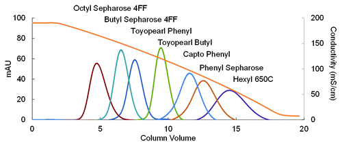 Figure 1. Linear retention of lysozyme on 7 commercially available HIC resins in a decreasing ammonium sulfate gradient.