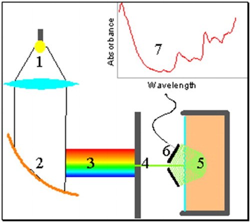 Figure 1. Schematic f NIRS machine. Light is focused (1) on to a concave mirror (2), which separates the light into its composing wavelengths (3). One wavelength is selected (4), and made to fall onto the feedstuff (5). The amount of this light which is reflected by the feedstuff is measured (6) to obtain the absorption corresponding to one wavelength. By changing the orientation of the mirror (2) different wavelengths of light are selected to obtain absorption measures for all wavelengths of interest. The graph depicting the wavelength tested versus the absorption is called the spectrum, and an example spectrum for coconut meal is presented in the top right corner (7).