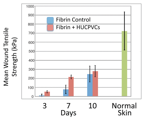 Figure 6 Mean wound tensile strength (kPa) of 8 mm diameter full thickness circular defects at 3, 7 and 10 days postoperative compared with normal skin. Bars represent standard deviations for each value.