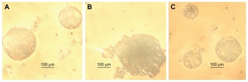 Figure 1 Effect of pH 1.2 on the aggregation of optimized papain loaded enteric SPs of HPMCP (A), Eudragit L 100 (B) and Eudragit S 100 (C).