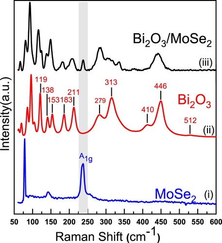 Figure 2. Raman spectra of (i) MoSe2, (ii) Bi2O3, and (iii) Bi2O3/MoSe2.
