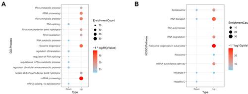 Figure 2 GO (A) and KEGG (B) enrichment analysis of DERBPs.