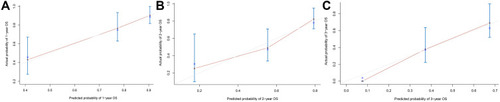 Figure 4 The calibration curve of the nomogram for predicting OS at 1-year (A), 2-year (B), and 3-year (C). The actual OS is plotted on the y-axis, the nomogram-predicted probability of OS is plotted on the x-axis.