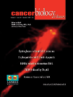 Cover image for Cancer Biology & Therapy, Volume 6, Issue 12, 2007