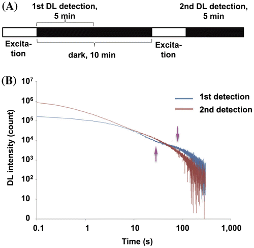 Fig. 2. First and second detections of DL decay curves after excitation.
