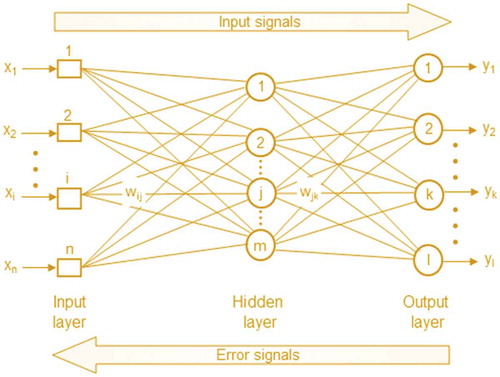 Figure 2. Feed-Forward Neural Network with Back Propagation