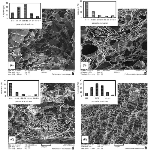 Figure 1. Cross sectional SEM image of scaffolds prepared by 3 wt % polymer solution concentration, GA/Gel ratio of 2.8 and Gel/PVA ratio of (A) 10:0 (B) 9:1 (C) 8:2 (D) 7:3.