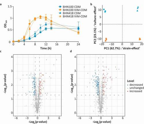 Figure 2. Transition metal levels impact growth kinetics and proteomic profile of S. pneumoniae. BHN100 (serotype 19 F) and BHN418 (serotype 6B) were passaged once in standard CDM or IVM-CDM and subsequently used for analysis of the growth kinetics (a) and the proteome (b–d). (a) The graph shows the mean optical density (OD) at 620 nm of four independent experiments, with error bars representing the standard deviation. (b) Whole cell shotgun proteomics data from logarithmic phase bacteria (OD 0.3) of three independent cultures were used for principal component analysis. Median normalized intensities of 1124 proteins were used as input. X-axis represents principal component (PC) 1 showing differences between strains, y-axis represents PC2 showing differences due to the culture conditions tested. (c,d) Volcano plots showing proteins with increased (red), decreased (blue) and unchanged (gray) levels in IVM-CDM versus CDM for both BHN100 (c) and BHN418 (d), based on >|1.5|-fold change in median normalized protein intensities and a q-value < 0.05.