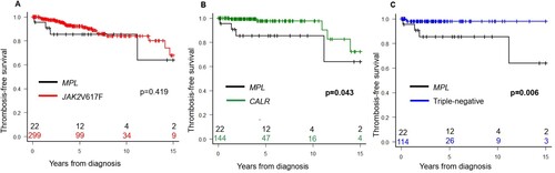 Figure 1. Kaplan-Meier curves comparing the thrombosis-free survival of patients with MPL mutation (black) versus JAK2V617F mutation (red) (A); MPL mutation versus CALR mutation (green) (B); and MPL mutation versus triple-negative (blue) (C). p < 0.05 was defined as significant.