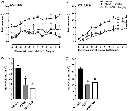 Figure 4. Effect of sub-chronic treatment with ACTZ and AN11-740 on infarct area (A,C) and infarct volume (B,D) in the cortex and striatum 24 h after pMCAo. (A,C) Data represent infarct area measured at 12 predetermined coronal levels through the brain of vehicle-treated (n = 4), ACTZ-treated (n = 4) and AN11-740-treated (n = 5) rats. Bregma = 0 [37]. (B,D) Bar graphs indicate the infarct volume calculated as mean ± SEM in the striatum and cortex. One-way ANOVA followed by Newman–Keuls post hoc test: *p < 0.05 and **p < 0.01 vs. vehicle-treated rats.