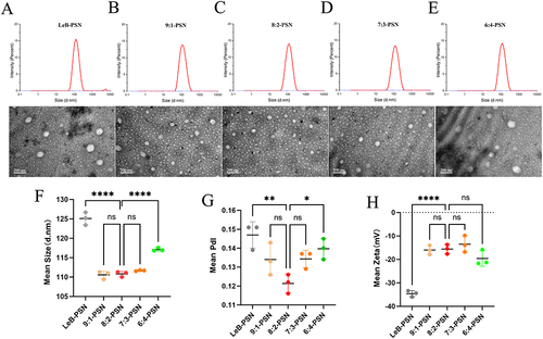 Figure 2 The particle size distribution, polydisperse index (PDI), Zeta potential, and transmission electron microscopic (TEM) images of different nanoparticles. (A–E) Particle size distribution and TEM images of Leb-PSN, 9:1-PSN, 8:2-PSN, 7:3-PSN, and 6:4-PSN; (F–H) Average particle size, PDI, and Zeta potential values of Leb-PSN, 9:1-PSN, 8:2-PSN, 7:3-PSN, and 6:4-PSN. Data are presented as mean ± SD, n=3. One-way ANOVA (one-sided) with Dunnett’s multiple comparisons test was used for data analysis, where ns indicates no significance, *P < 0.05, **P < 0.01, and ****P < 0.0001.