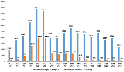 Figure 1 The trend of the COVID-19 confirmed cases during Jan–Apr 2022 (fourth wave).