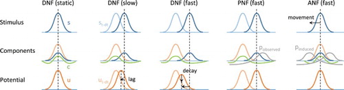 Figure 2. Illustration of the neural field model dynamics and equation components. For each model, stimulation at time t−dt (light colour on first row) and t (dark colour on first row), field activity from t−dt (light colour on third row) and resulting at t (dark colour on third row), as well as the competition component (negative activity on second row), are represented. Internal input projections corresponding to expected trajectories are also shown for the PNF and ANF models. With a moving stimulus, the DNF model is not able to converge to a stable peak of maximal activity, the peak lagging behind the target and/or decaying. The projection of activity in the PNF model simply compensates for the inertia of the equation and synchronises with the target trajectory (if the implicit expectation and observation match). The ANF model additionally includes a projection due to the eye movement, thus cancelling the drifting effect of the projection when the target image is kept within the central visual field.