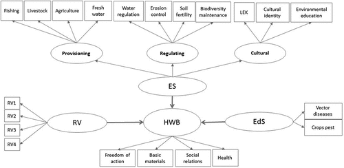 Figure 2. Proposed SEM model indicating the contributions of Ecosystem services (ES), Ecosystem disservices (EdS) and Relational values (RV) to Human well-being (HWB) and the relations between latent and manifest variables. Note that ovals represent latent variables (i.e. unobserved constructs), while the rectangles represent manifest variables collected in the survey.