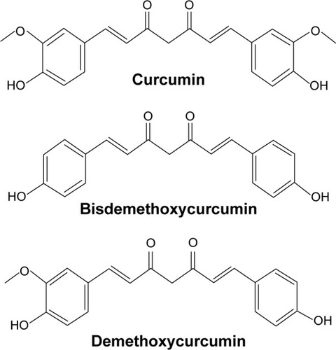 Figure 1 Chemical structure of curcumin, demethoxycurcumin, and bisdemethoxycurcumin.