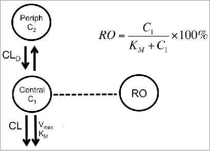 Figure 6. Model scheme used to describe PK-RO relationship in cynomolgus monkey and humans. The model consists of two compartments: central and peripheral. Drug concentrations are noted by C1 and C2 in the central and peripheral compartment, respectively. From the central compartment there are two main elimination mechanisms: non-specific (accounted by a CL term) and target mediated (represented by Vmax and KM). Receptor occupancy is related to concentrations by the Michaelis-Menten constant, KM.