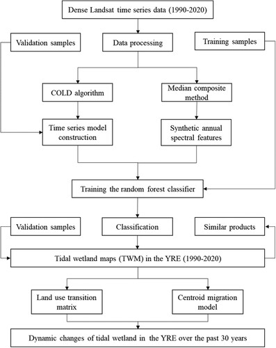 Figure 3. The workflow for this study.