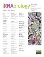 Cover image for RNA Biology, Volume 11, Issue 5, 2014