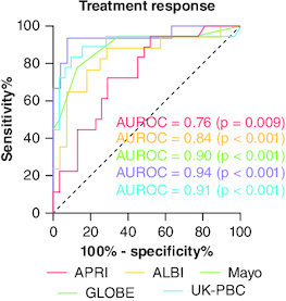 Figure 3. ROC curves assessing the discriminatory performance of prognostic scores in predicting biochemical response for primary biliary cholangitis patients treated with ursodeoxycholic acid.ALBI: Albumin-bilirubin score; APRI: Aspartate aminotransferase to platelet ratio index; AUROC: Area under the curve; BR: Biochemical response; GLOBE: Global Assessment of Liver Outcomes score; PBC: Primary biliary cholangitis; ROC: Receiver operating characteristic; UDCA: Ursodeoxycholic acid; UK-PBC: UK Primary Biliary Cholangitis score.