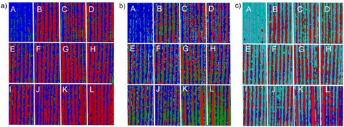 3. K-means clustering on the mosaic of weathered wood after pre-selecting 3 a, 4 b and 5 classes c