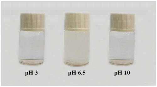 Figure 10. Digital photographs of PSEMA-b-PVEA diblock copolymer solution at pHs 3, 6.5, and 10.