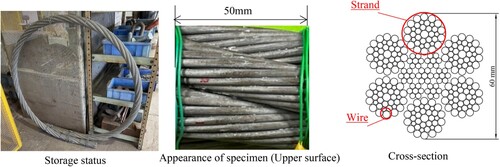 Fig. 1: Appearance and cross-sectional view of the specimen