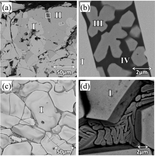 Figure 9. SEM images of Yb2SiO5 interacted with CMAS for 200 h. (a), (b), (c) and (d) low and high-magnification surface BSE images of Yb2SiO5 interacted with CMAS at 1500°C for 200 h. Reproduced with permission from Reference [Citation64], © Elsevier B.V. 2013.
