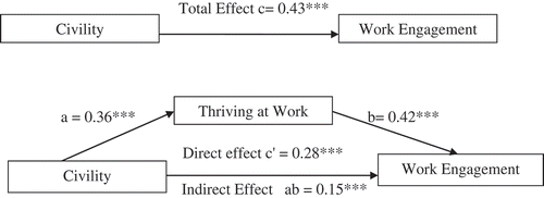 Figure 3. Indirect effect of civility on work engagement through thriving at work.