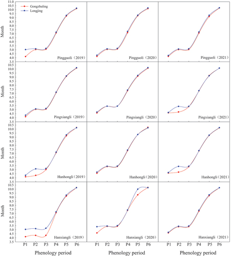 Figure 2. The phenology periods investigation of four pear cultivars including “Pingguoli,” “Pingxiangli,” “Hanhongli” and “Hanxiangli” in two regions of Gongzhuling and Longjing.