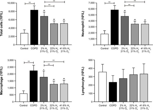 Figure 2 Impact of hydrogen on inflammatory cells in rats with COPD-like lung disease.