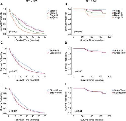 Figure 3 Kaplan-Meier curves for CSS in SRCC patients with ST<5Y and ST≥5Y.