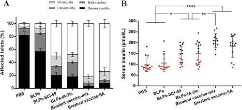 Figure 4. Effect of different treatments on insulitis and preservation of insulin secretion in NOD mice. (A) Frequency of islets with various grades of insulitis. At the end of the observation period, pancreas samples were obtained from surviving mice in each group (n = 5 in PBS group; n = 4 in BLPs group; n = 9 in BLPs-SCI-59 group; n = 9 in BLPs-IA-2ic group; n = 15 in Bivalent vaccine-mix group; n = 13 in Bivalent vaccine-SA group) for histological examination. At least 20 islets per mouse were analyzed. (B) Serum insulin levels of NOD mice (n = 15 per group). For the mice still alive at the end of the observation period (black dots), the serum insulin levels at 40 weeks of age are recorded and analyzed. For the mice that died during the observation period (red dots), the serum insulin levels at the last week before death are recorded and analyzed. Data are shown as means ± SD. * p < 0.05, ** p < 0.01, **** p < 0.0001.