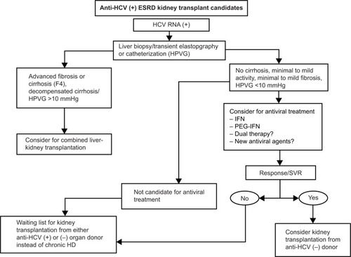 Figure 1 Proposed algorithm for evaluation and allocation of renal transplant candidates with HCV infection.