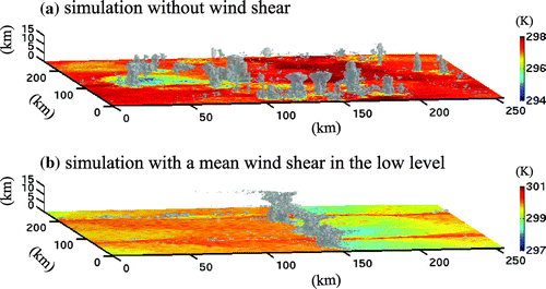 Fig. 17. Snapshots of clouds (grey volumes) and near-surface air temperature (shading) in two convective–radiative equilibrium CRM runs, one without wind shear (a) and the other with shear in the lower atmosphere (b). The presence of shear changes the spatial scale of convective patterns, with isolated cells replaced by squall-line-type systems – adapted from Muller (Citation2013), © Copyright 2013 AMS.