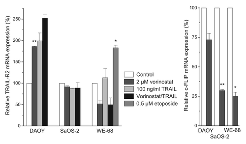 Figure 3. Vorinostat alters TRAIL-R2 and c-FLIP mRNA expression in childhood tumor cells. Cells were exposed to agents for 24 h. TRAIL-R2 and c-FLIP mRNA expression levels were determined by real-time RT-PCR and normalized to β-2-microglobulin mRNA levels. Means ± SEM of each two separate measurements are shown (*p < 0.05, **p < 0.01).