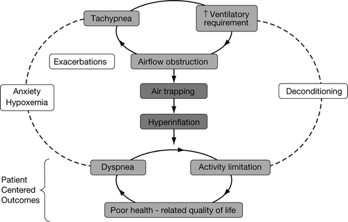 Figure 7 Air trapping links pathophysiology and patient-centered outcomes in COPD (Citation[37]). Reprinted from American Journal of Medicine, 119, Cooper CB, The connection between chronic obstructive pulmonary disease symptoms and hyperinflation and its impact on exercise and function, S21–S31., Copyright (2006), with permission from Elsevier.
