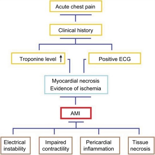 Figure 2 Diagnosis chart of AMI and possible physiological effects.