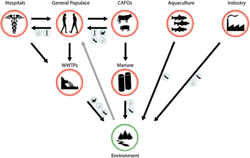 Figure 4 Schematic flow of antibiotic resistance from hotspots of evolution. Reprinted from Kraemer SA, Ramachandran A, Perron GG. Antibiotic pollution in the environment: from microbial ecology to public policy. Microorganisms. 2019;7(6):180. Creative Commons.Citation42