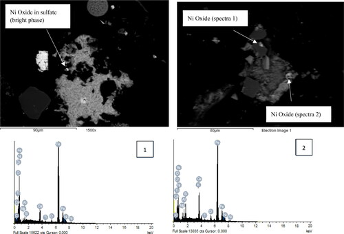 Figure 5. SEM images of Ni oxides enclosed in sulfate and silicate phases in the bulk sample MI8-414. Energy dispersive spectra (EDS) of points taken from Ni oxides are shown for validation of Ni compounds (elements such Ca, Si, and K are due to contributing volume from surrounding minerals).