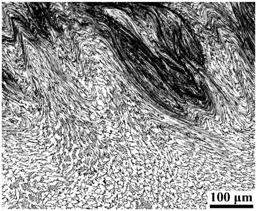 Figure 8. Large heterogeneous microstructure of TMW bead-on-plate weld top region (side view of FZ) of the cold-rolled AISI 304L subjected to a 25% thickness reduction (CR25) at a welding current of 150 A, a welding speed of 12 cm/min, and an offset of 30 mm.