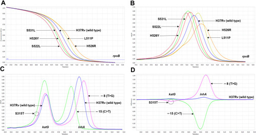 Figure 3 The differentiation among various mutation profiles observed in rpoB, katG and inhA promoter by the optimized RIF-RD (A and B) and INH-RD (C and D) assays using M. tuberculosis H37Rv as the reference (blue line): the normalized melting curve (A and C) and the normalized melting peak (B and D).