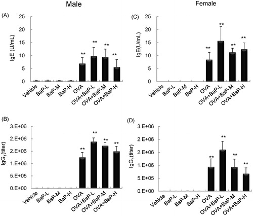 Figure 2. Ovalbumin (OVA)-specific Ig antibody levels in serum following lactational expo-sure to benzo[a]pyrene in allergic airway inflammation in offspring. Serum OVA-specific IgE and IgG1 levels were assessed 24 h after the respective final OVA instillation. Data shown are means ± SE for 4–8 animals/group. **p < 0.01 vs. vehicle group.