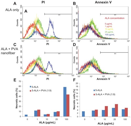 Figure 6 Apoptosis and necrosis analysis of HuCC-T1 cholangiocarcinoma cells, after treatment with ALA-only or ALA-PVA nanofiber for 24 hours.Notes: Cells were stained with PI for necrosis and FITC annexin V for apoptosis: (A and B) ALA only; (C and D) ALA-PVA nanofiber. The percentage of M1 area of total cells is displayed in graph form for (E) necrosis and (F) apoptosis.Abbreviations: ALA, 5-aminolevulinic acid; PVA, poly(vinyl alcohol); PI, propidium iodide; FITC, fluorescein isthiocynate.