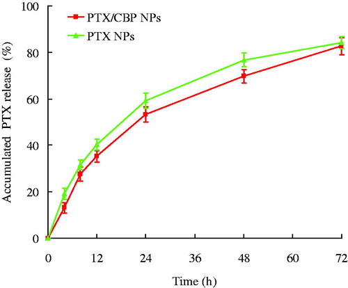 Figure 2. In vitro PTX release profile of PTX/CBP NPs and PTX NPs.